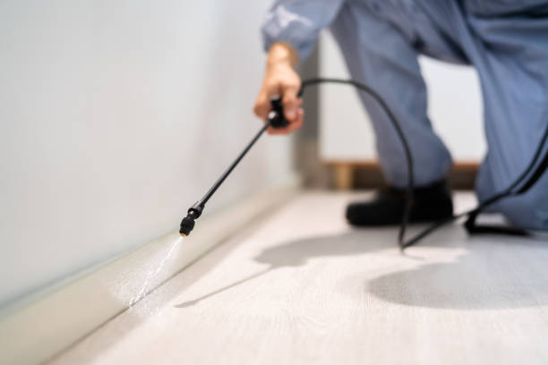 Licensed Termite Control service in Silver City, NM - Show Me Pest Control